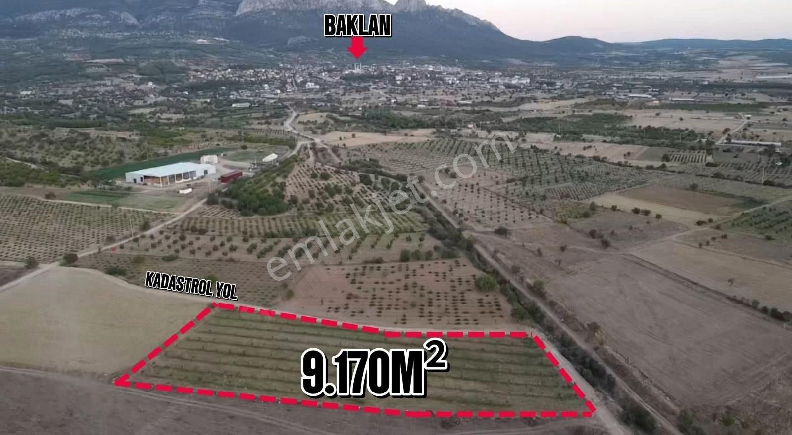 Baklan Gürlük Satılık Tarla BAKLAN MERKEZE ÇOK YAKIN SATILIK 9.170M2 CEVİZ BAHÇESİ