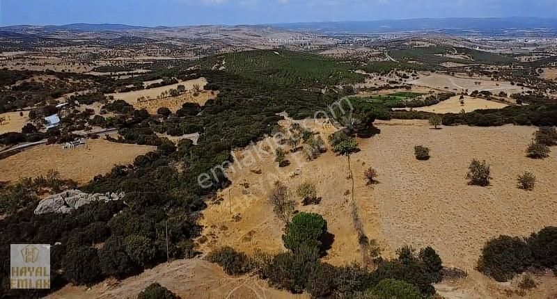 Ezine Üsküfçü Köyü Satılık Tarla Mükemmel manzaralı Kadastral Yolu Olan Köye Yakın Arazi