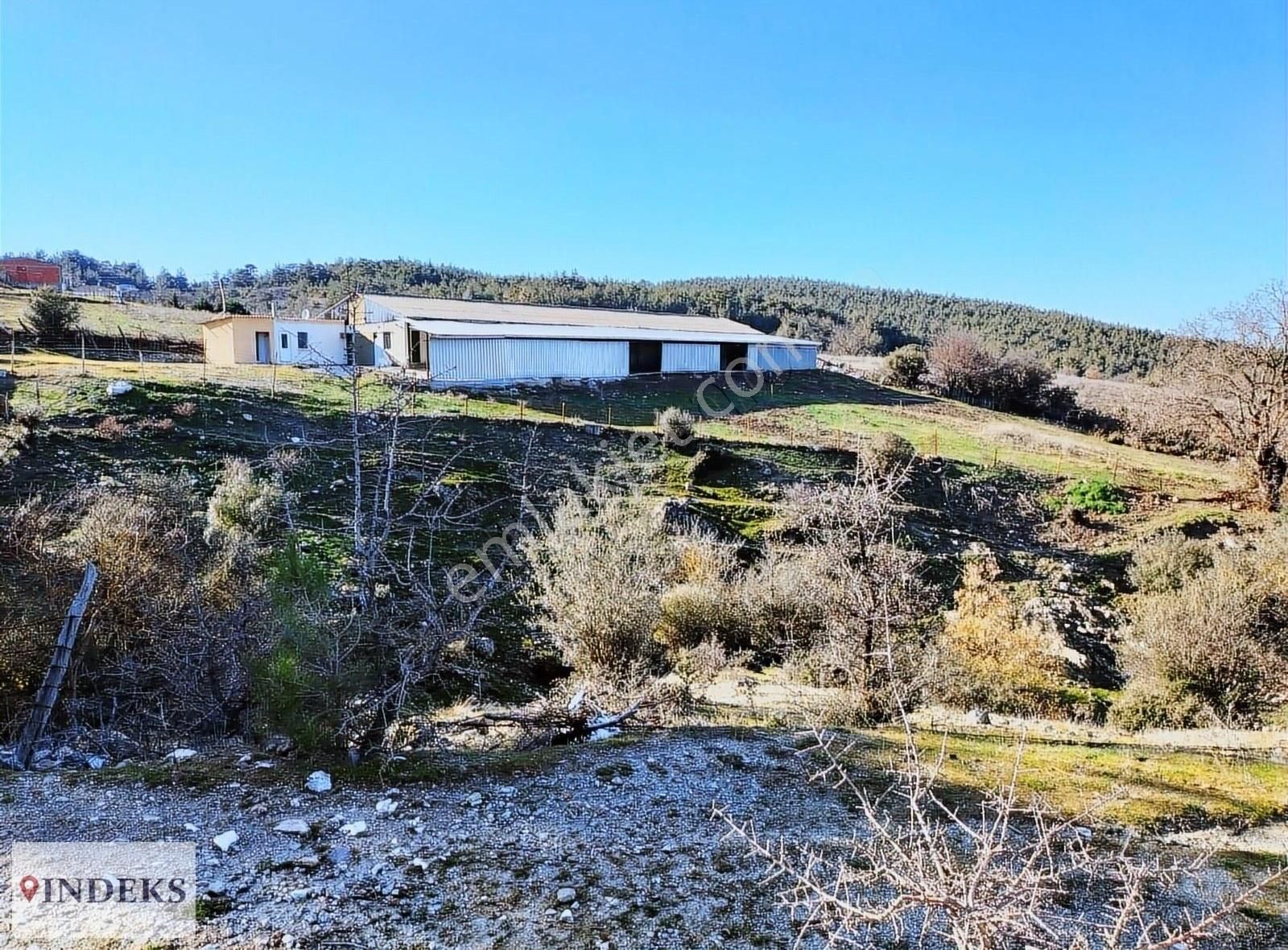 Çanakkale Merkez Denizgöründü Köyü (Gürecik) Satılık Tarla ÇANAKKALE/MERKEZ/DENİZGÖRÜNDÜ/KÖYİÇİ İMARA 100MT,SATILIK ARAZİ