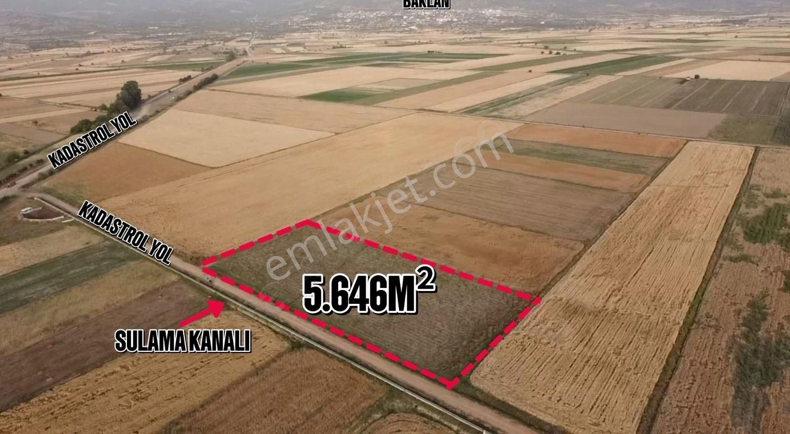 Baklan Gürlük Satılık Tarla BAKLAN OVASINDA SATILIK 5.646M2 SATILIK SULAK TARLA