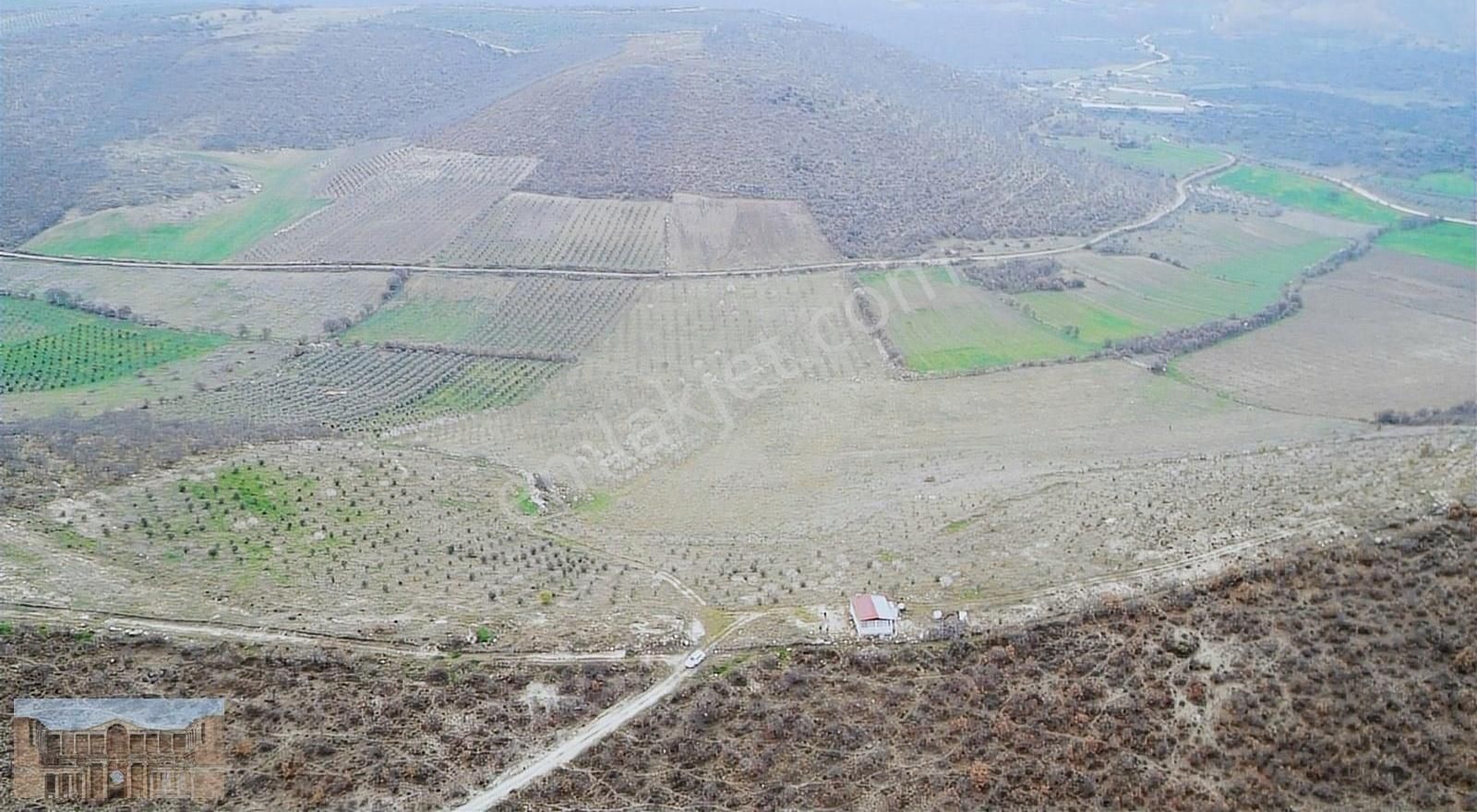 Salihli Eminbey Satılık Tarla Satılık Eminbey'de 83 Dönüm Elektirik, Su Ve Evi Olan Arazi