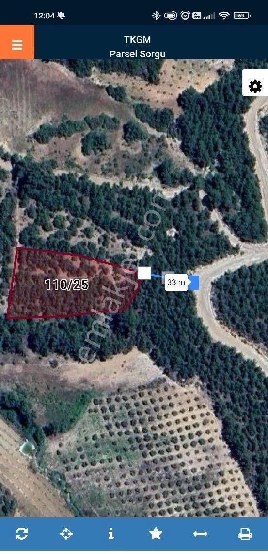 Kale Alanyurt Satılık Tarla İnsan Doğası 3379 M² Çamlık Tarla