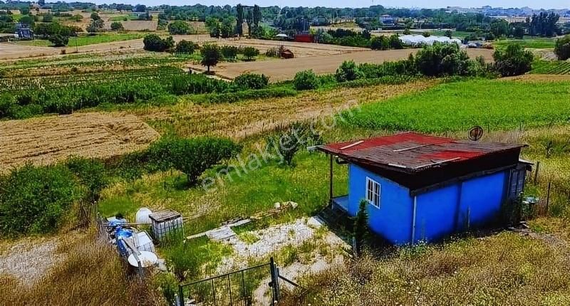 Silivri Değirmenköy İsmetpaşa Satılık Bağ & Bahçe DEĞİRMENKÖYDE 400m2 YAPI KAYITLI KONTEYNIR OLAN BAĞ TAPULU