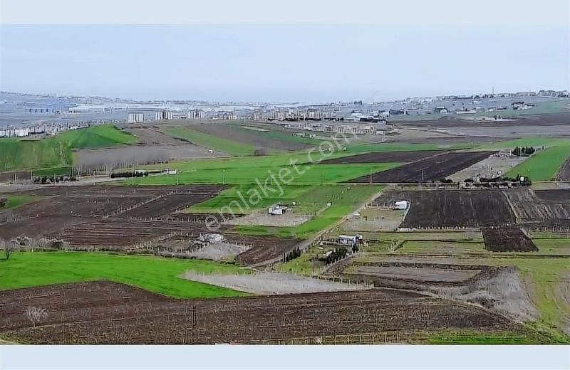 Silivri Çanta Sancaktepe Satılık Tarla Çanta Sancaktepede Elektrik Başında Yola Cephe 377m2