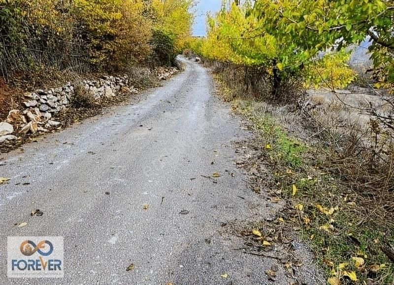 Yeşilyurt Yakınca Satılık Bağ & Bahçe Yeşilyurt Yakınca Da, Bu Konumda Bu Fiyata Başka Yok.!!!