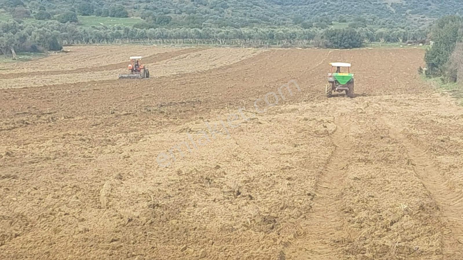 Çine Saraçlar Satılık Tarla  ÇİNE SARAÇLAR'DA ANA YOLA SIFIR 26 DÖNÜM TARLA YATIRIMLIK MÜKEMEL KONUMLU