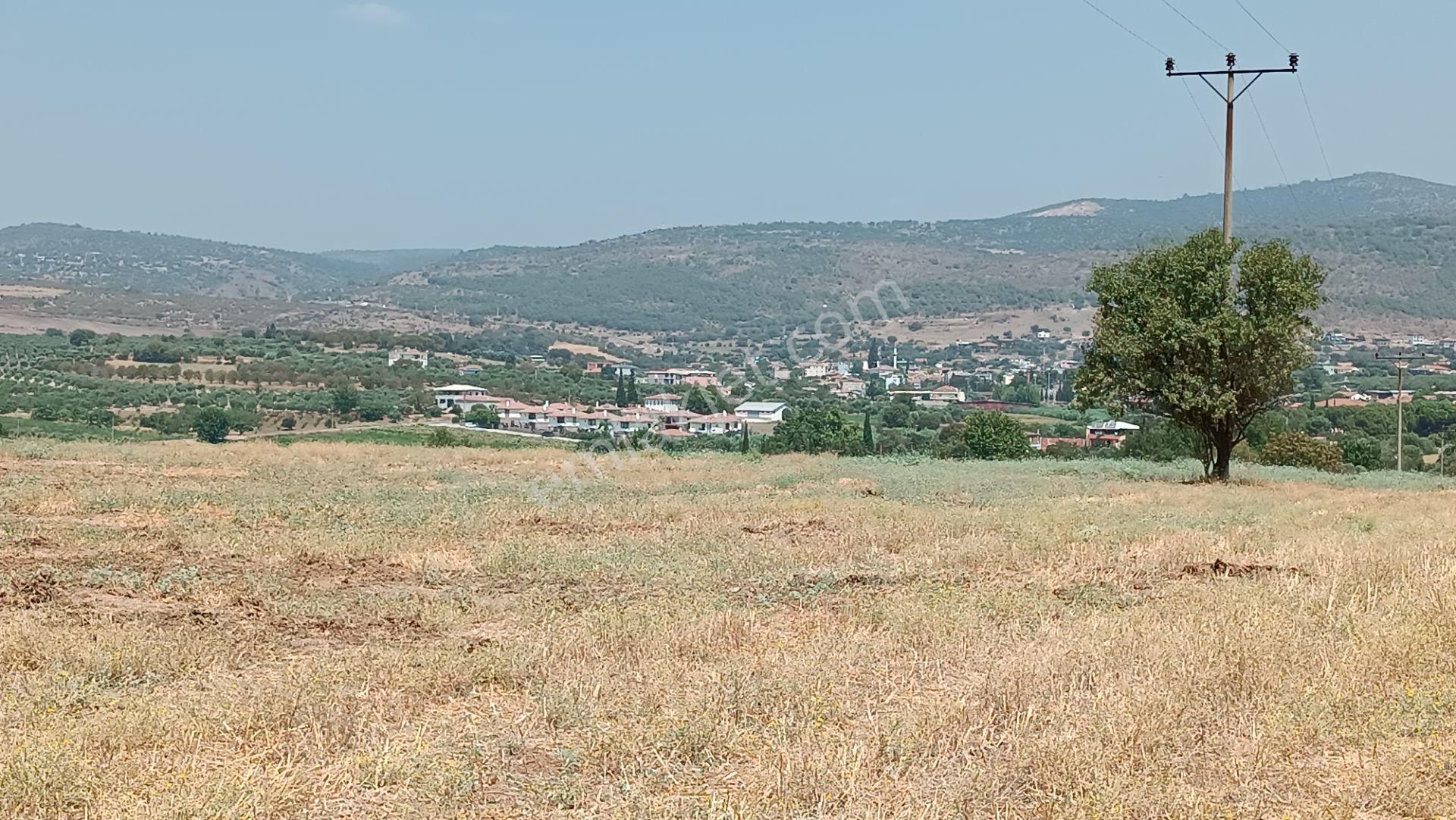 Yunusemre Üçpınar Satılık Tarla Manisa Yunusemre Üçpınar Mah. İmar Dibinde 5700m2 Satılık Tarla