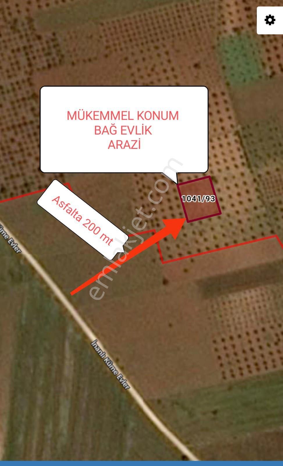 Kilis Merkez Necmettin Erbakan Satılık Zeytinlik Takas Gayrimenkul 'den Kilis - İnanlı Köyünde Satılık Tarla..