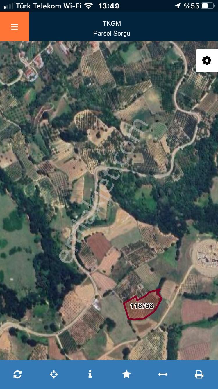 Altınbaş Emlak'tan Dipsizgöl'de Satılık Şeftali Bahçesi - Görsel 3