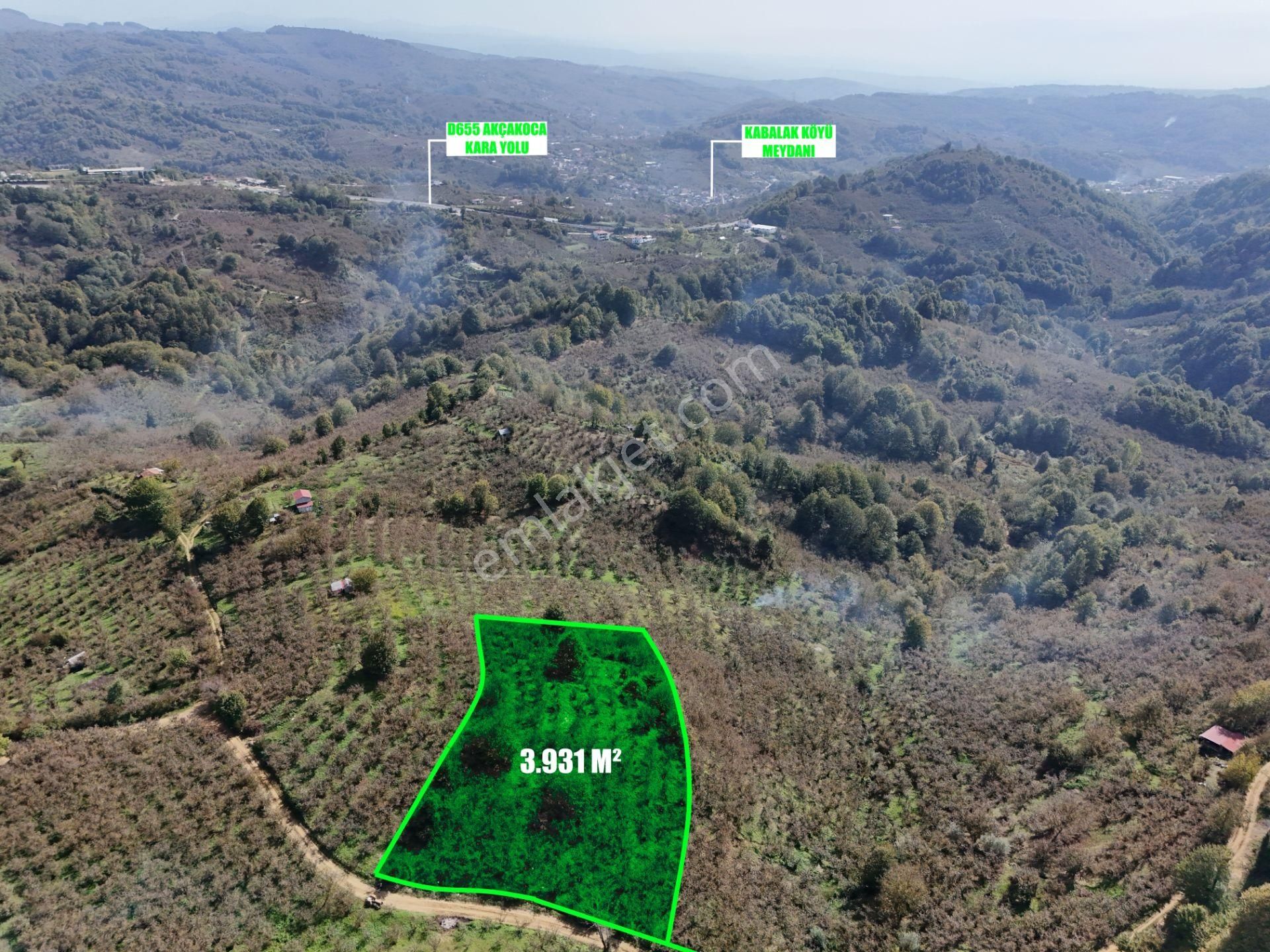 Düzce Merkez Boğaziçi Bld. (Şekerpınar) Satılık Tarla Epa Uğur'dan Boğaziçi Şekerpınar'da Satılık Fırsat Fındıklık