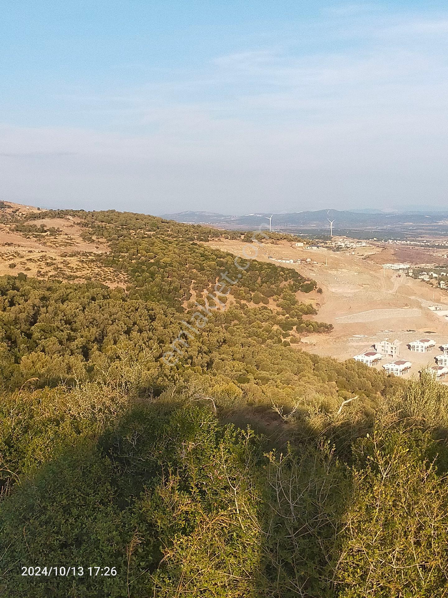 Saadet Korkmaz Emlak'tan Çandarlı'da İmara Komşu Muhteşem Manzaralı 3 650 M2 Satılık Zeytinlik - Görsel 21