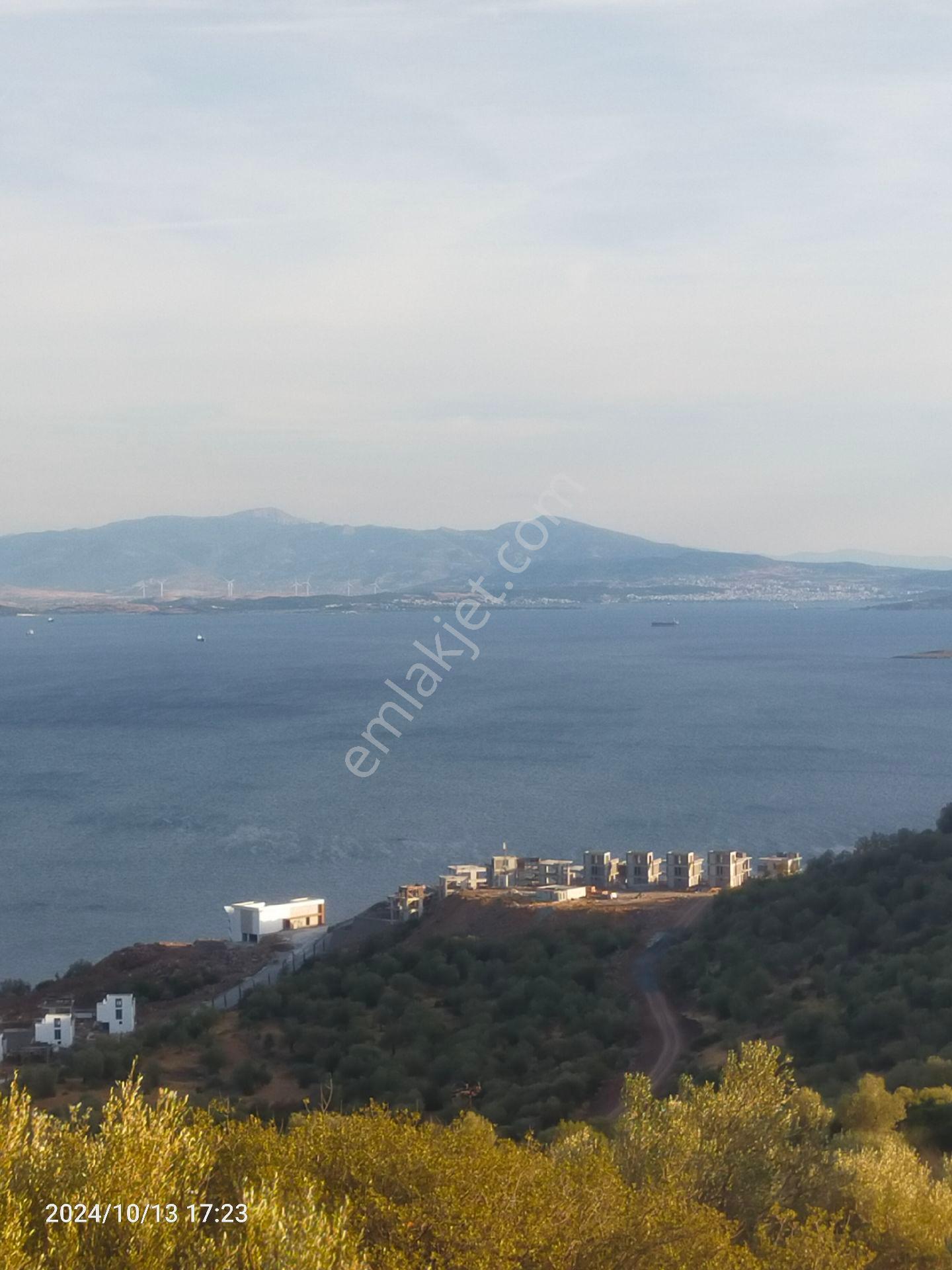 Saadet Korkmaz Emlak'tan Çandarlı'da İmara Komşu Muhteşem Manzaralı 3 650 M2 Satılık Zeytinlik - Görsel 3