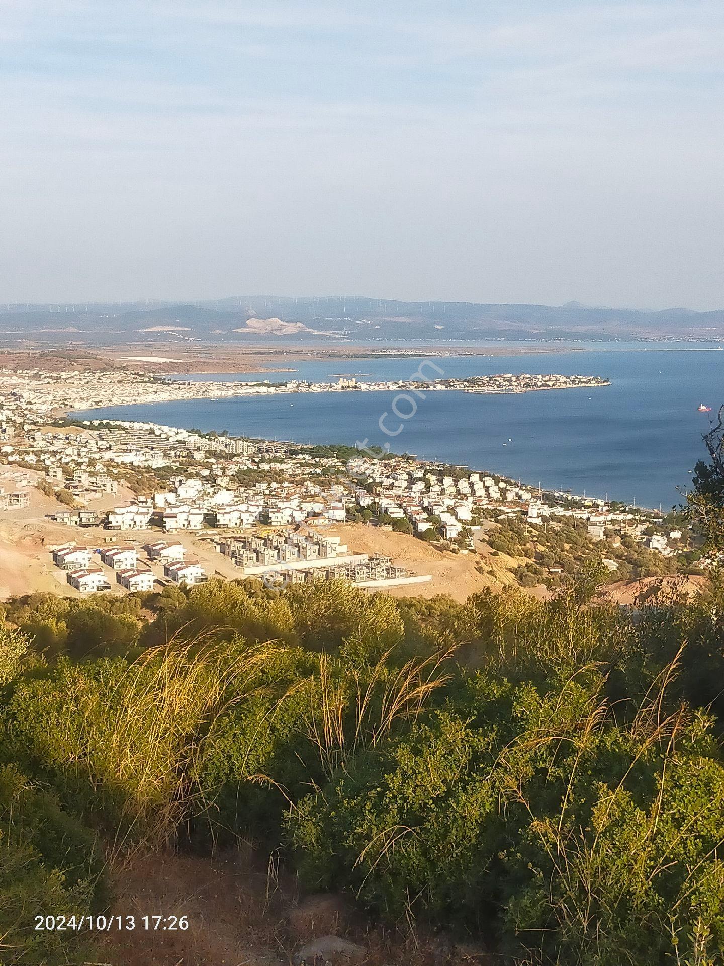 Saadet Korkmaz Emlak'tan Çandarlı'da İmara Komşu Muhteşem Manzaralı 3 650 M2 Satılık Zeytinlik - Görsel 22