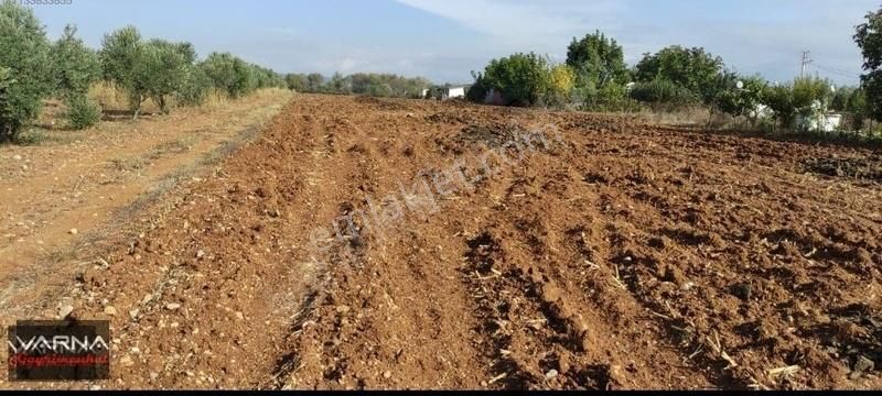 Menderes Oğlananası 8500 M2 Tek Tapu Yatırıma Uygun - Görsel 5