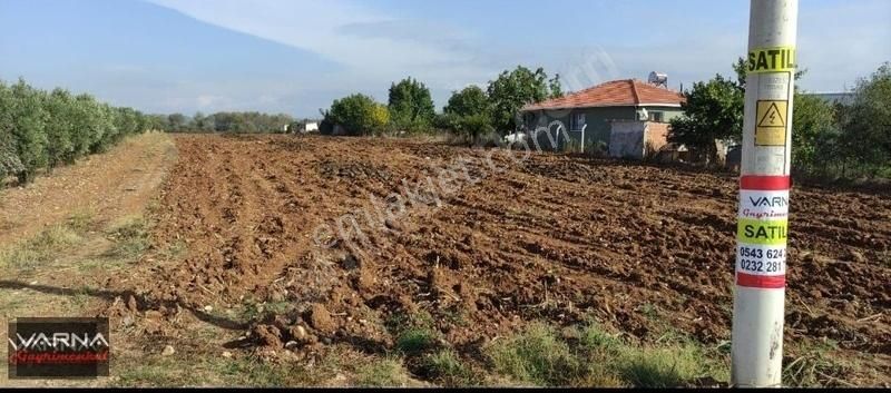Menderes Oğlananası 8500 M2 Tek Tapu Yatırıma Uygun - Görsel 7