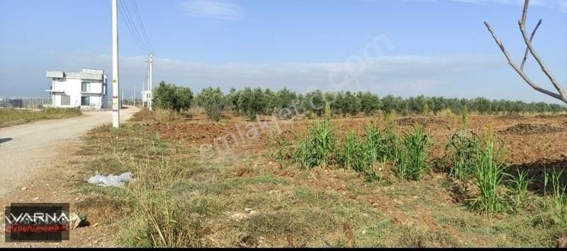 Menderes Oğlananası Atatürk Satılık Tarla MENDERES OĞLANANASI 8500 M2 TEK TAPU YATIRIMA UYGUN