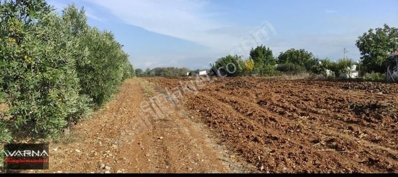 Menderes Oğlananası 8500 M2 Tek Tapu Yatırıma Uygun - Görsel 6