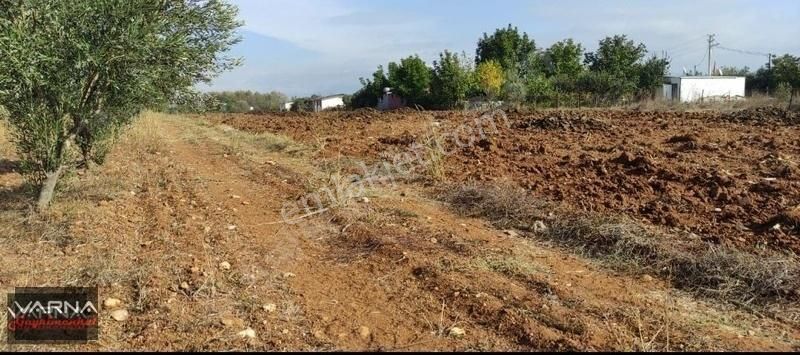 Menderes Oğlananası 8500 M2 Tek Tapu Yatırıma Uygun - Görsel 10