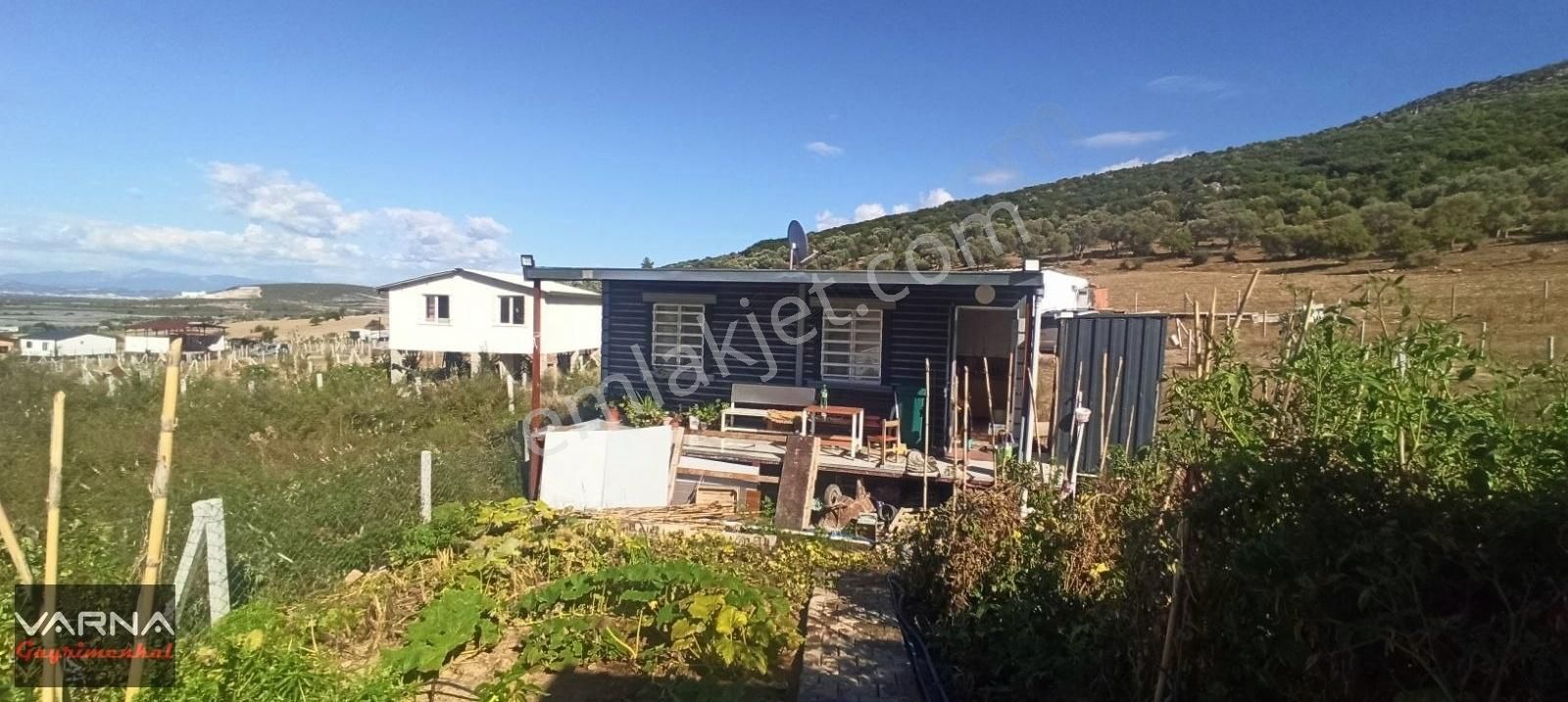 Menderes Çileme De Yaşam Alanı 300 M2 - Görsel 3