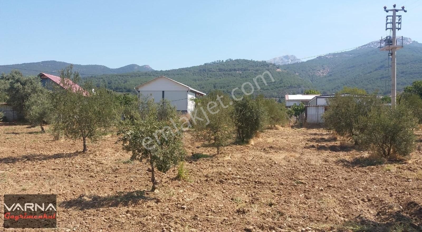 Kemalpaşa Gökkaya Tapulu Arazi Zeytin Ağaçlı 1940 M2 - Görsel 8