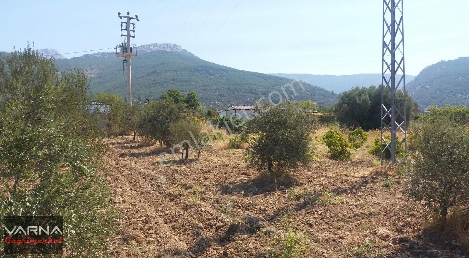 Kemalpaşa Gökkaya Tapulu Arazi Zeytin Ağaçlı 1940 M2 - Görsel 6