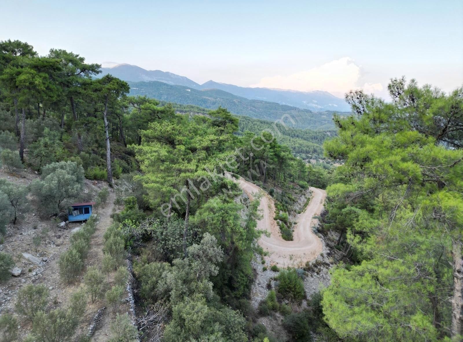 Kaş Akörü Satılık Tarla Kaşta Zeytin Ağaçlarıyla Çevrili, Yatırıma Uygun