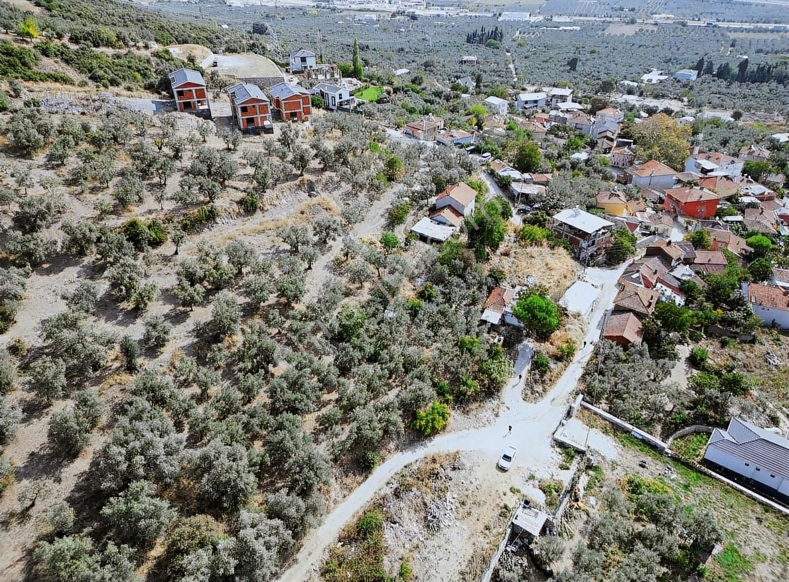 Orhangazi Çeltikçi Satılık Konut İmarlı ORHANGAZİ ÇELTİKÇİ SATILIK TEK TAPU 390 m2 ARSA