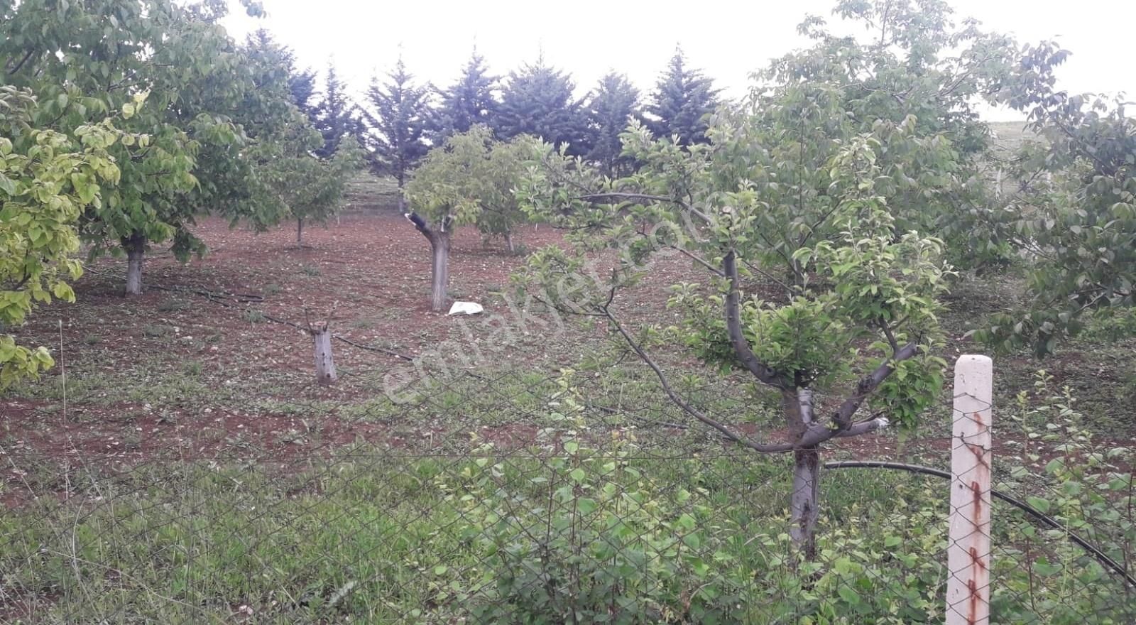 Gölbaşı Oyaca Yeşilçam Satılık Konut İmarlı Oyaca Da Tek Tapu İmarlı Arsa