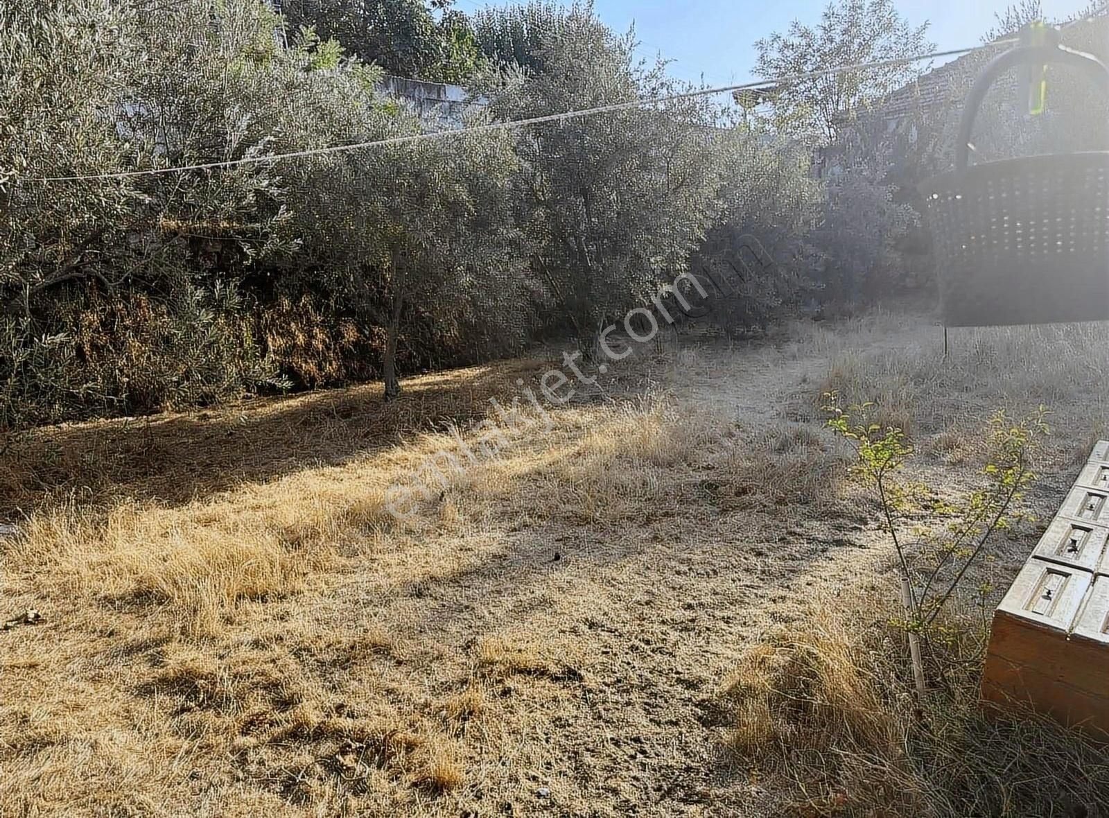 Pek Emlaktan Mahmutlar Da 1020 M2 Bahçeli Satılık Müstakil Ev - Görsel 27