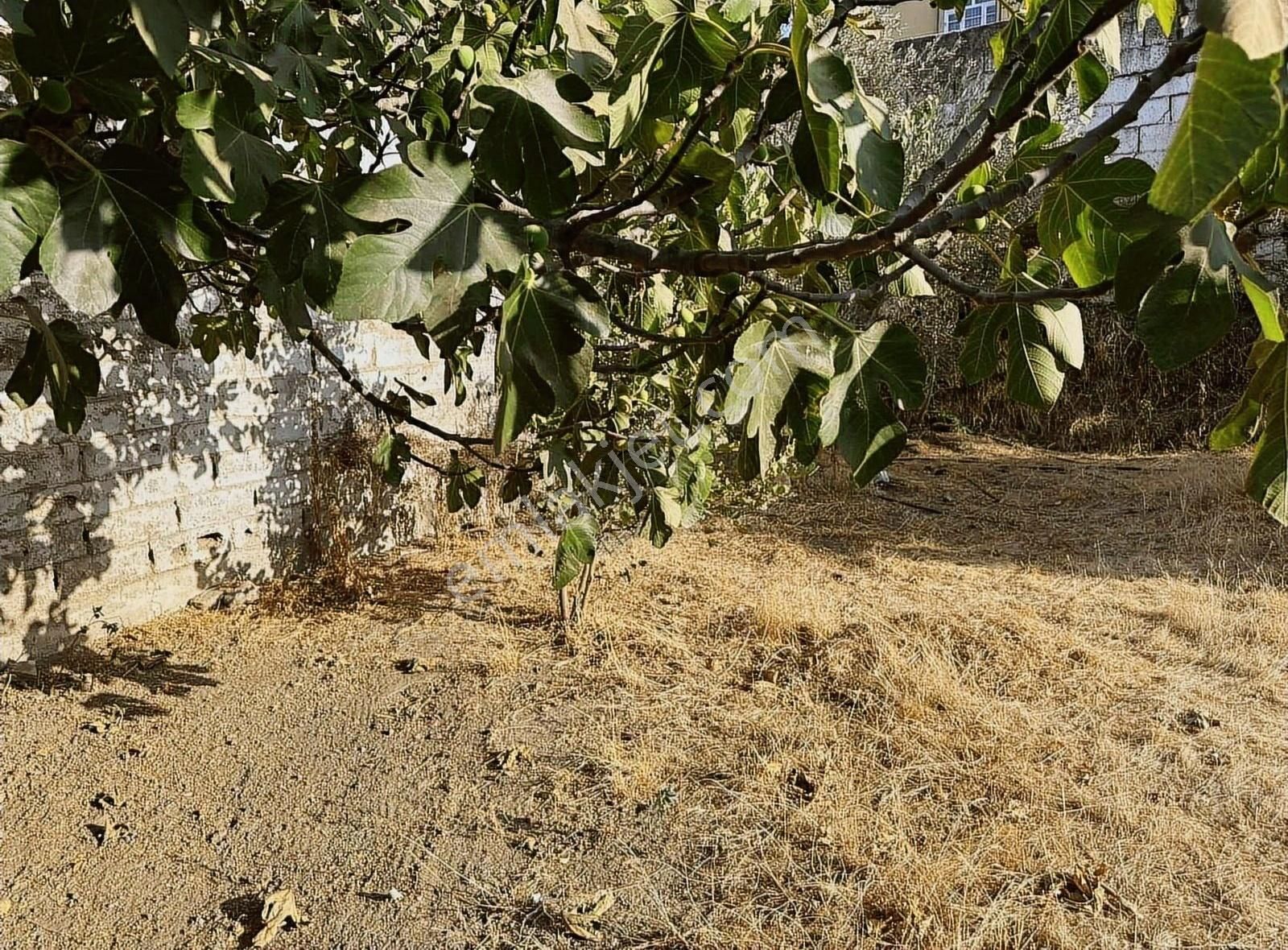 Pek Emlaktan Mahmutlar Da 1020 M2 Bahçeli Satılık Müstakil Ev - Görsel 33