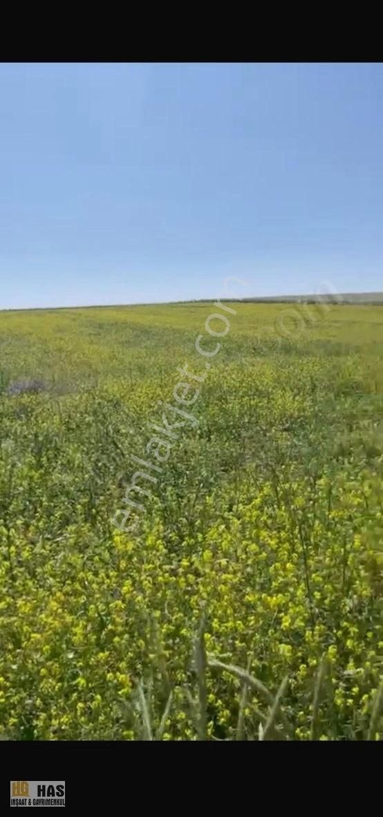 Pursaklar Karşıyaka Satılık Tarla HAS GAYRİMENKUL'DEN ANKARA PURSAKLAR GÜLEDARDA GÖL MANZARILI