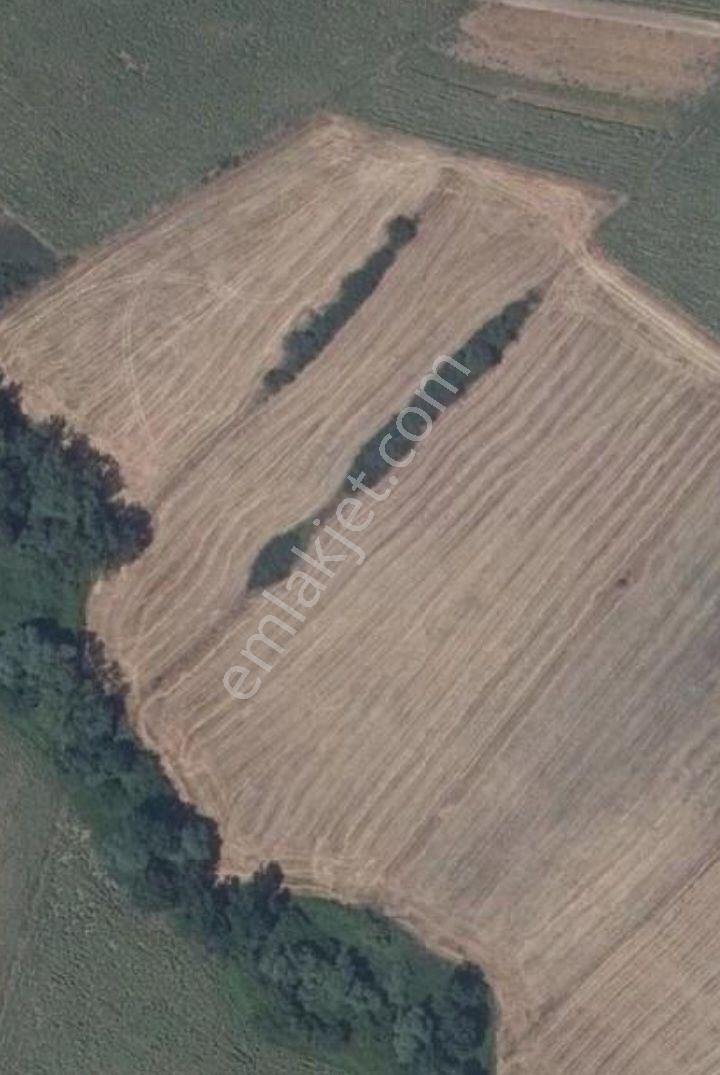 Tekirdağ Muratlı Balabanlı Köyünde Satılık 722 M2 Tarla