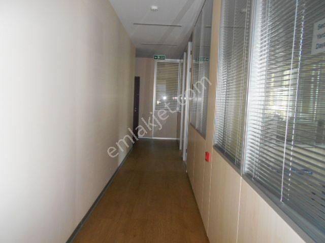 Ankara Çankaya Balgat Ehlibeyitte 430m2 Kök Tapu - Görsel 9