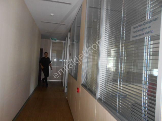 Ankara Çankaya Balgat Ehlibeyitte 430m2 Kök Tapu - Görsel 8
