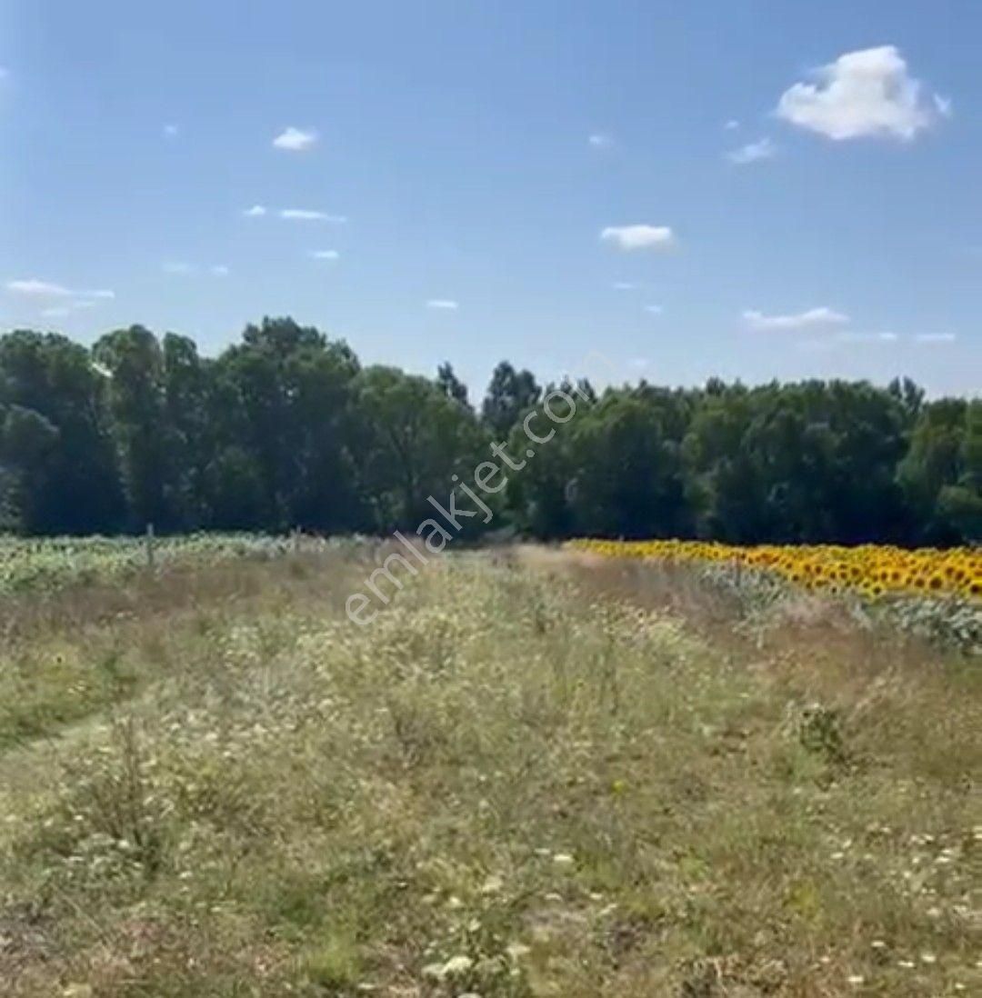 Çatalca Kabakça Satılık Tarla Çatalca Kabakca 1350m² Tek Tapu Doga Manzaralı Köye Yakın Satılık Arazı