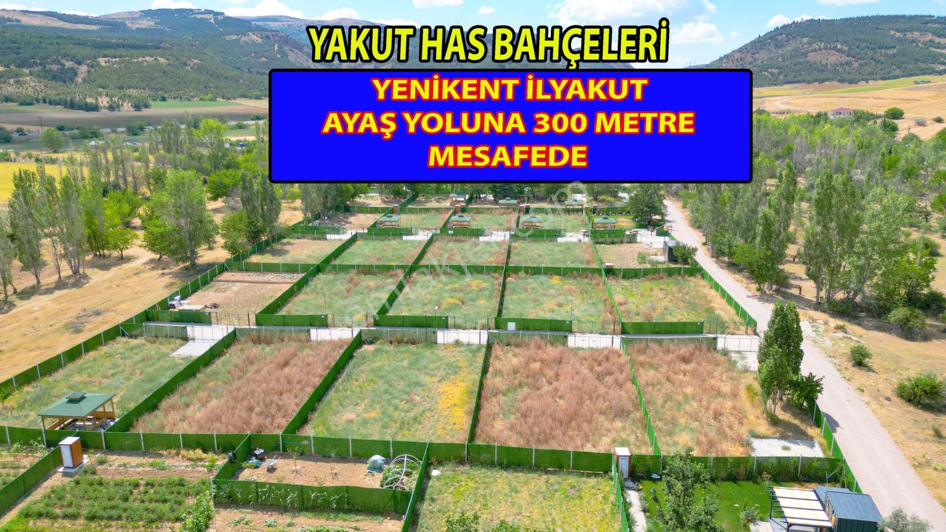 Sincan İlyakut Satılık Bağ & Bahçe Sincan Yenikent İlyakut'ta Ayaş Yoluna 300 M Mesafede Satılık Bahçe