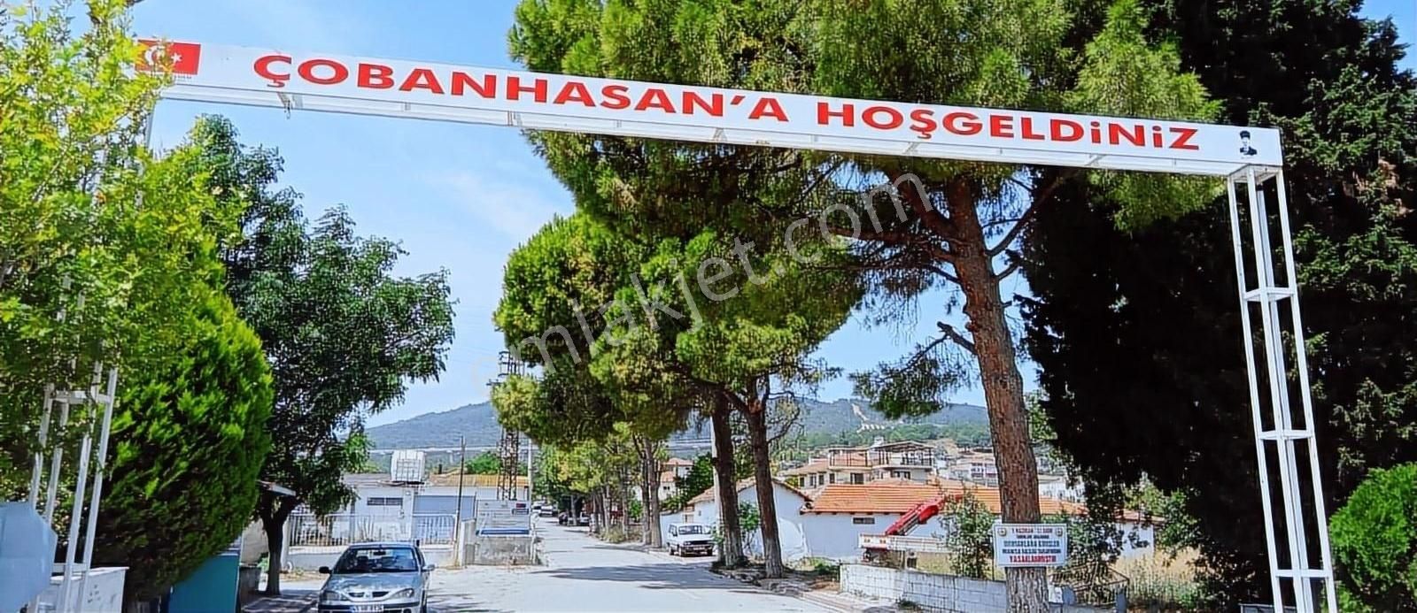 Akhisar Çobanhasan Satılık Zeytinlik Köy İçinde 200 m² Hobi Bahçesi