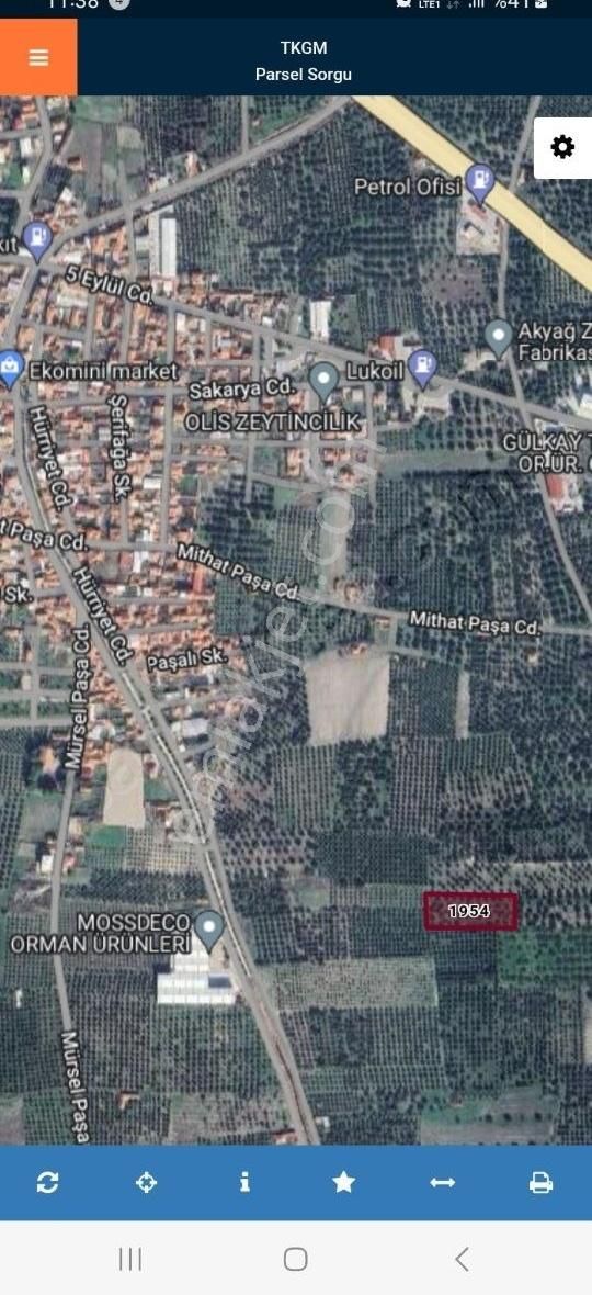 Süleymanlı Merkezde 4.290 M² Yetişkin Edremit Tarlası - Görsel 2