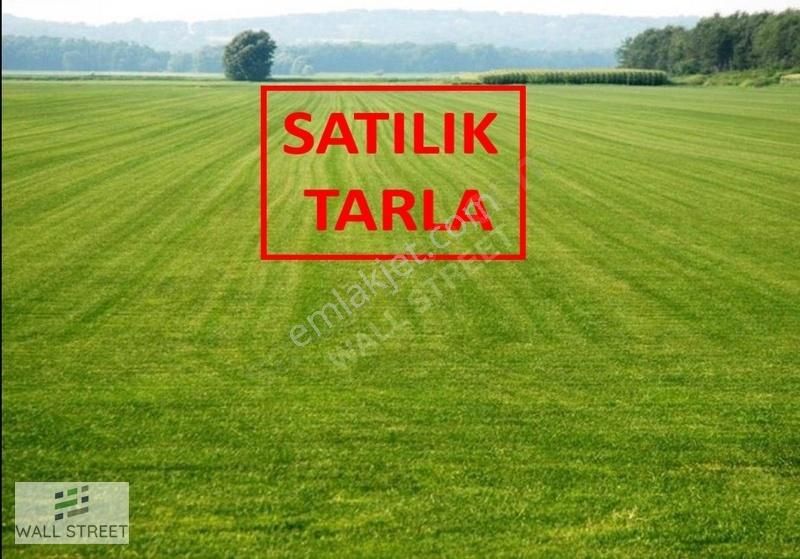 Kahramankazan Kılıçlar Satılık Tarla KAZAN KILIÇLARDA SATILIK TARLA