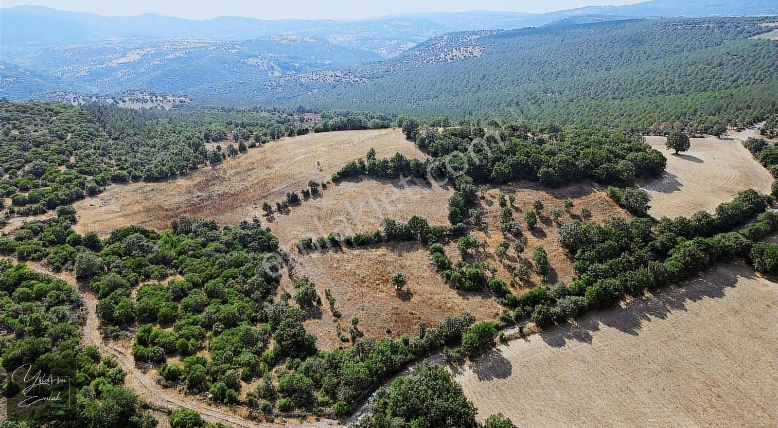 Balya Yaylacık Satılık Tarla Balya Yaylacık Doğa İçerisinde Doğa Manzaralı Fırsat Tarla