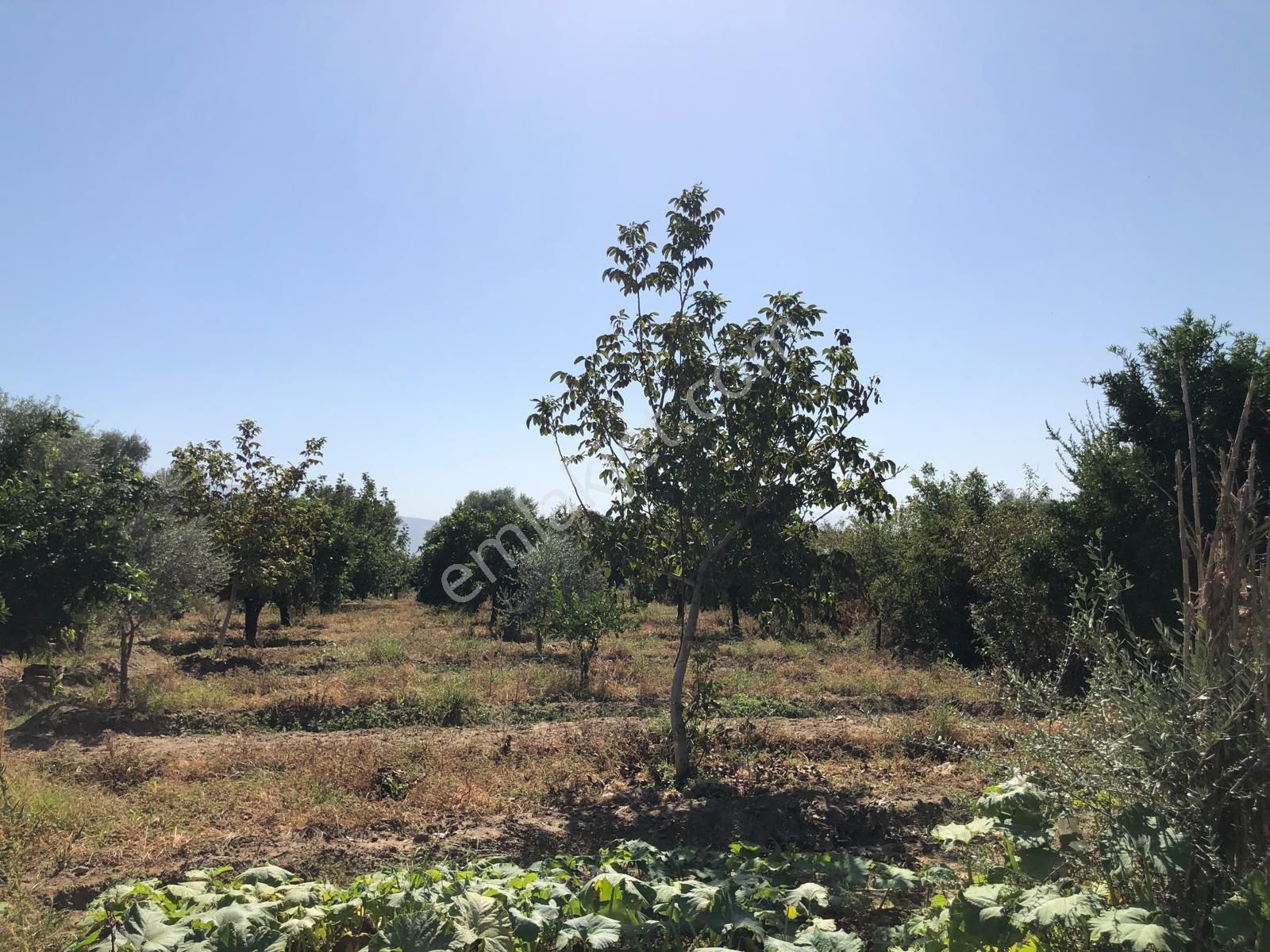 Satılık Bahçe - Görsel 9