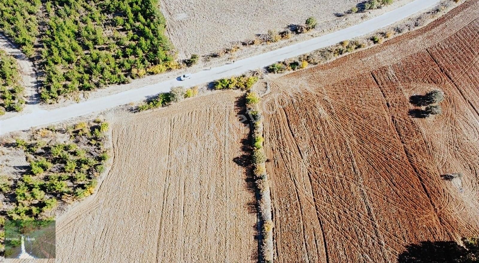 Bayramiç Doğancı Köyü Satılık Bağ & Bahçe ÇANAKKALE BAYRAMİÇ İLÇEYE ÜÇ KİLOMETRE