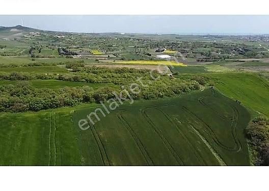 Silivri Değirmenköy İsmetpaşa Satılık Tarla Değirmenköyde Ormana Cepe Yanyana Parseller