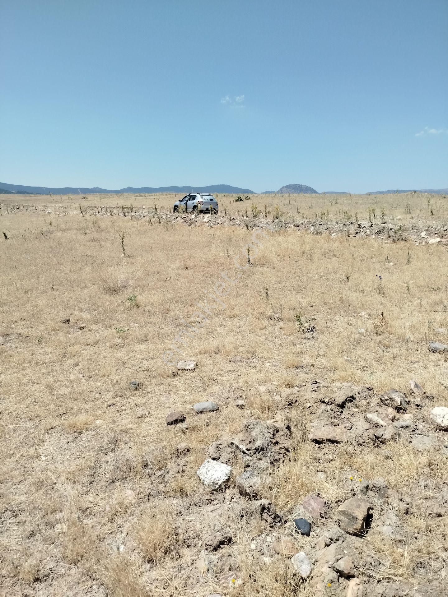 Afyon Bayatta Yüz Elli Dönüm Satılık Tarla - Görsel 2