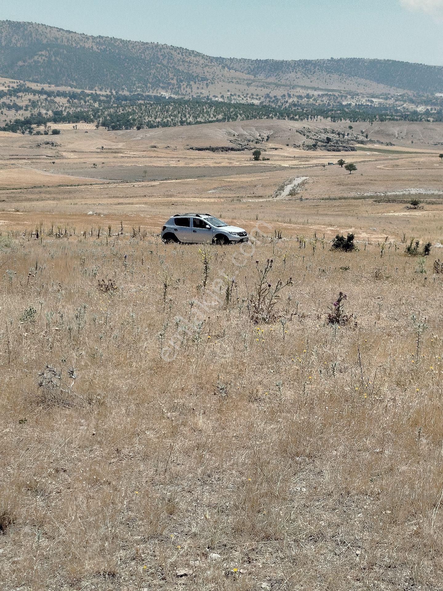 Afyon Bayatta Yüz Elli Dönüm Satılık Tarla - Görsel 8