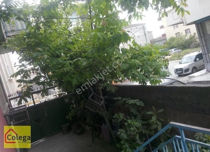 Pendik Kavakpınar Satılık Bina Pendik Çamçeşme Cadde Üzeri 2 Daire 2 Dükkanlı Komple Bina