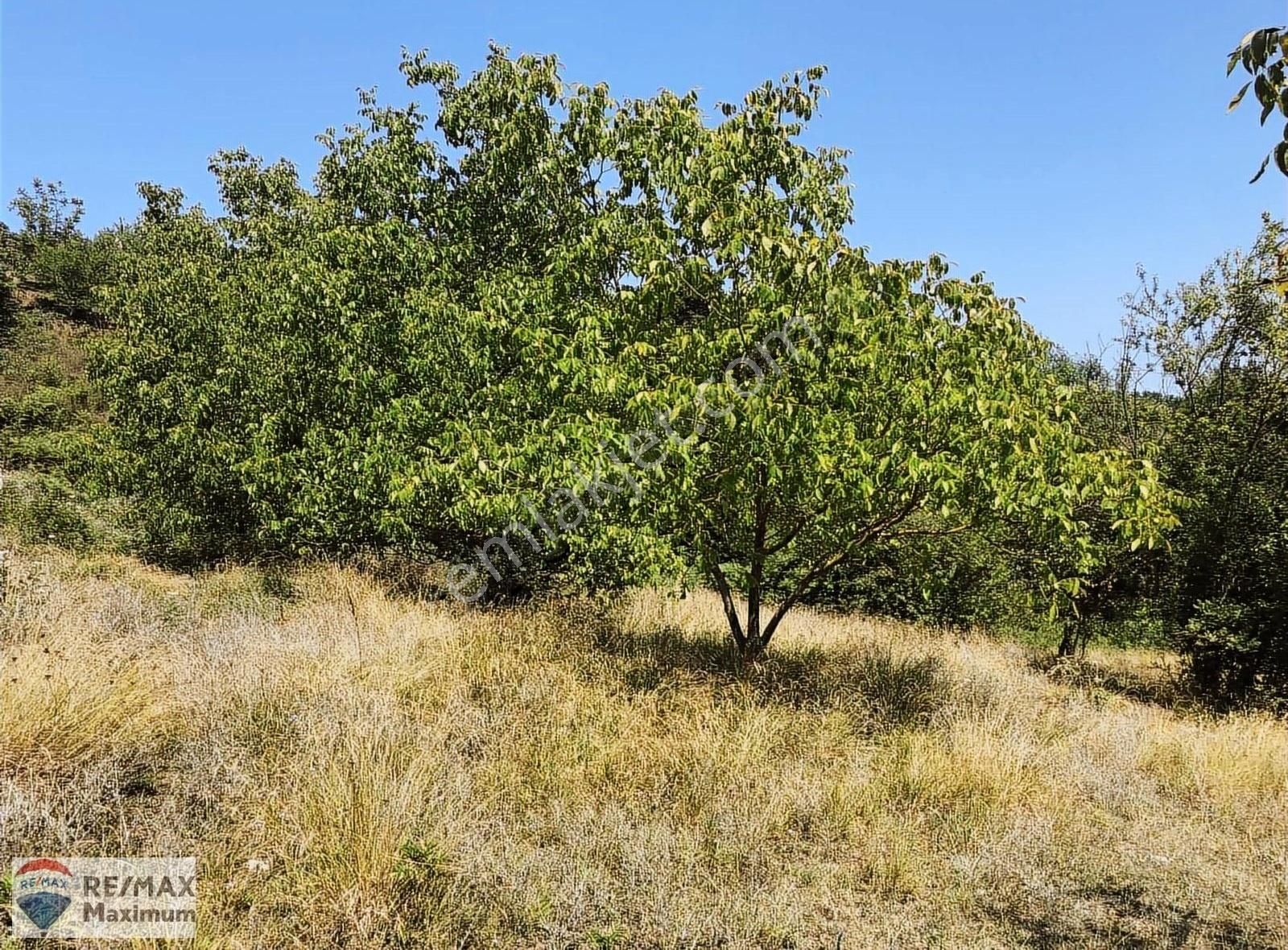 İzmit Orhaniye Satılık Konut İmarlı İzmit Orhaniye Satılık Köyiçi 807 m2 Arsa