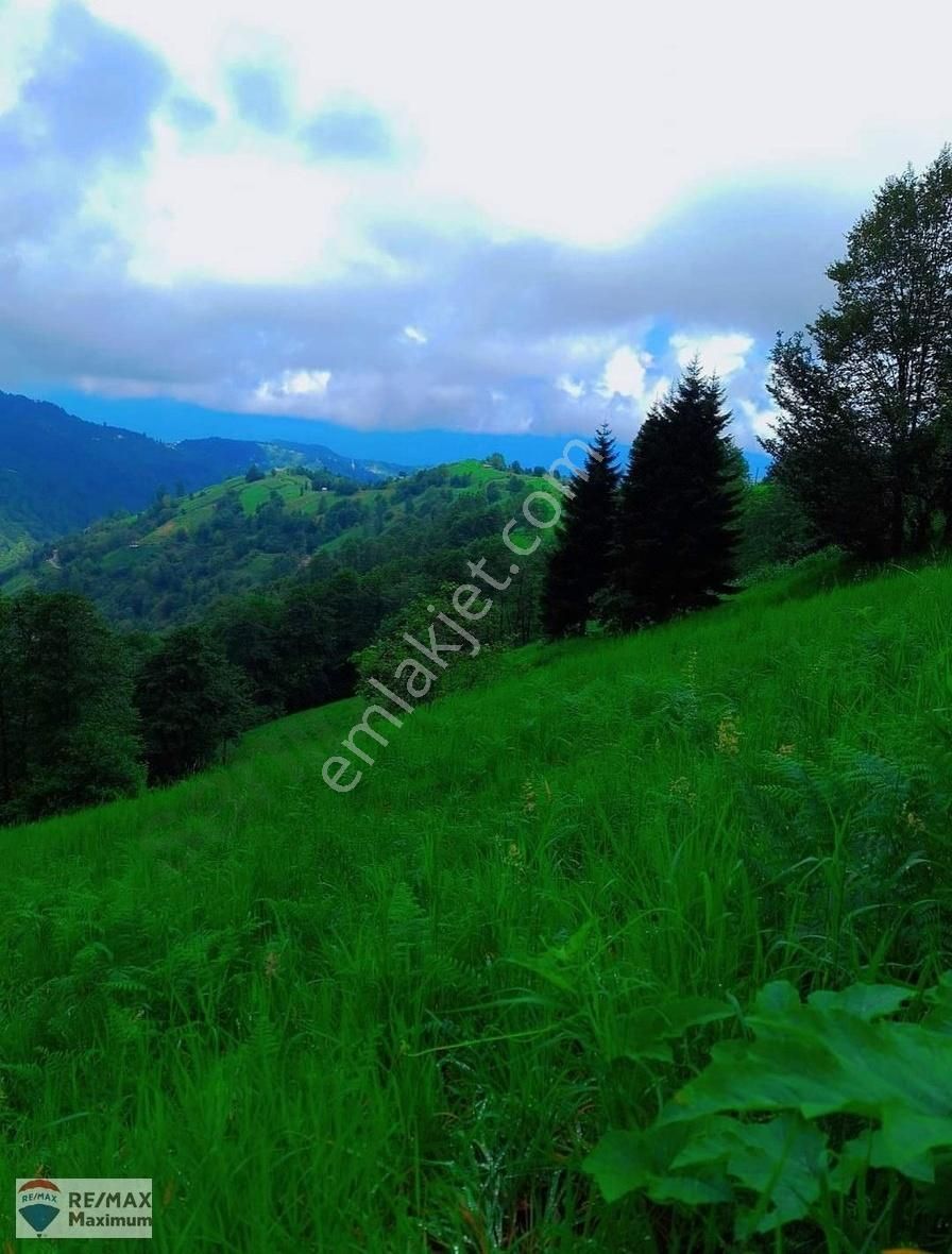 Trabzon Vakfıkebir Hamzalı'da Kiralık Bungalov Arsası