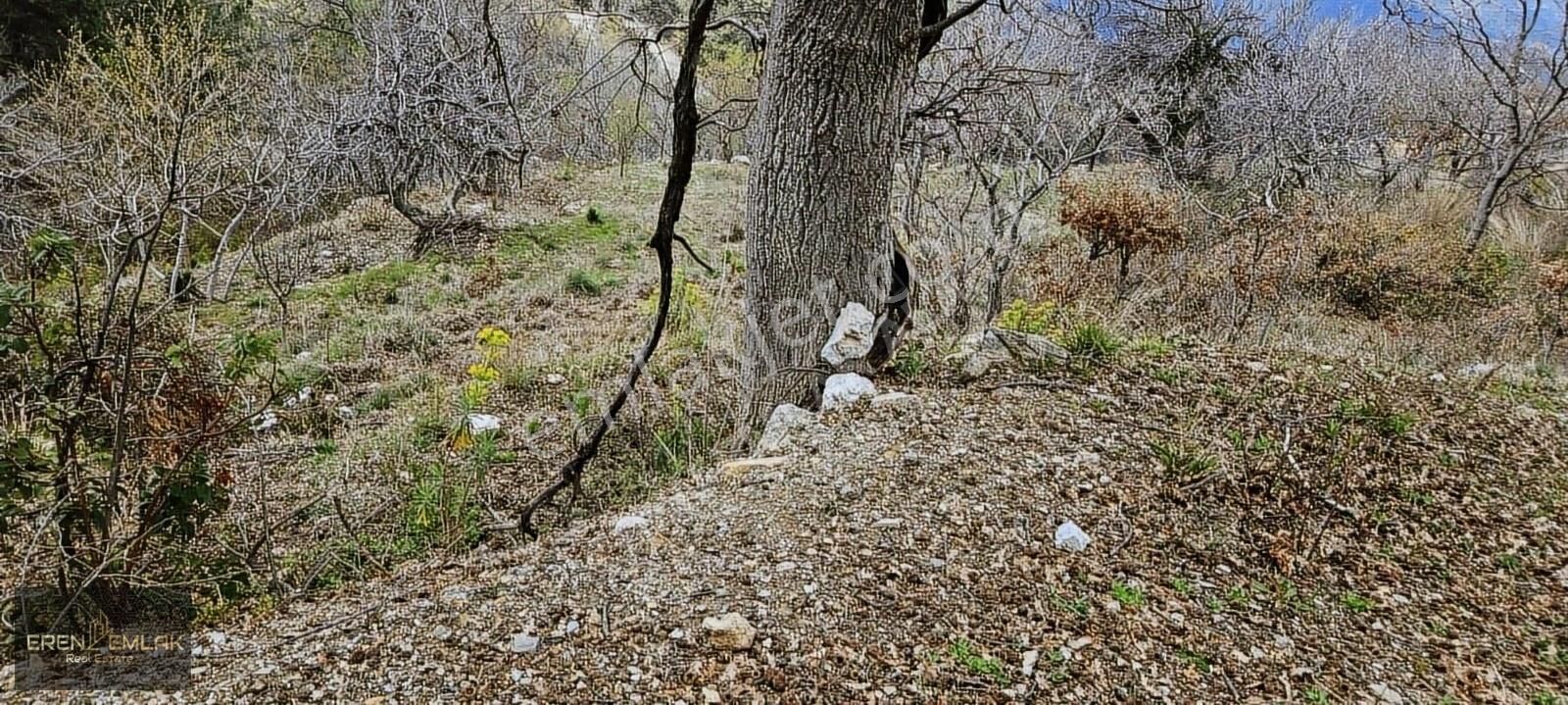 Eren Emlak'tan Bademağacında Full Deniz Manzaralı 280 Mtre Tarla - Görsel 13