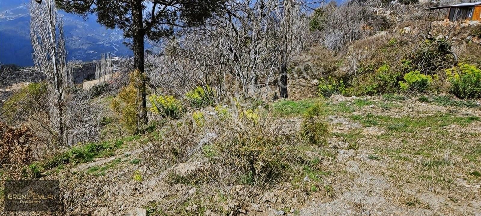 Eren Emlak'tan Bademağacında Full Deniz Manzaralı 280 Mtre Tarla - Görsel 5